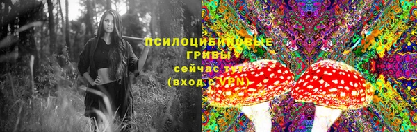 соль курить ск Алексеевка