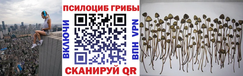 Галлюциногенные грибы Cubensis  Валдай 